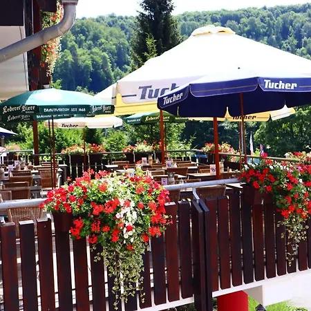 Hotel Landgasthof Frankenstern 2*